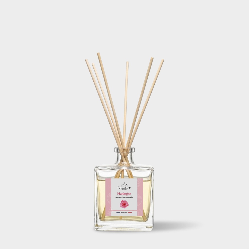 Diffuseur de parfum Nkoùngne